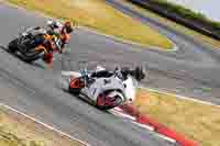 Middle Group White Bikes